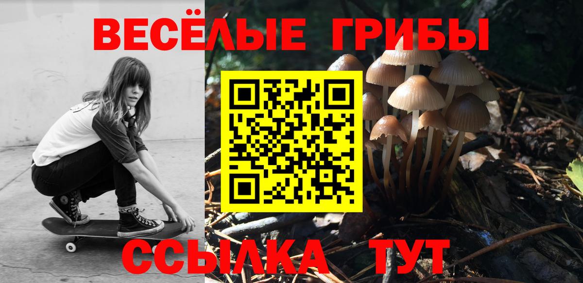 Барабинск  Галлюциногенные грибы Psilocybine cubensis  купить наркотики цена  Вход с VPN 